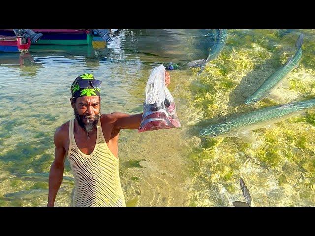 Jamaica Sunrise Tv Father Buying Fish For Dinner || Rasta Vibes Yard Man Style…￼