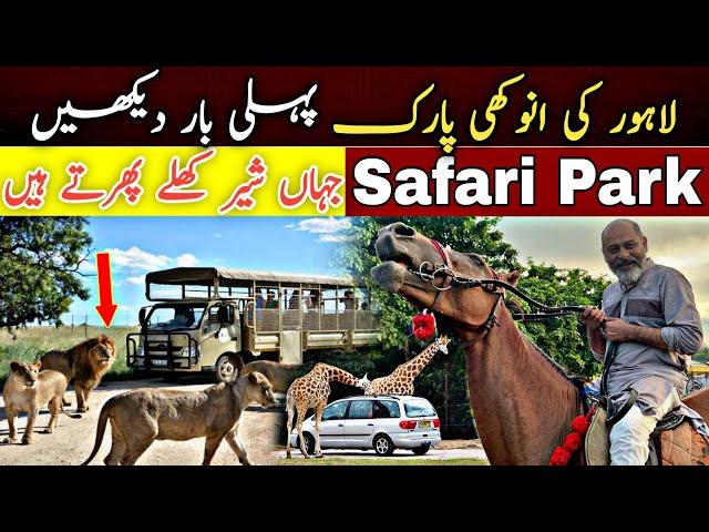 Zoo Safari park Lahore/amazing place for picnic/ lions park/ animals and lions/iftikhar Ahmed Usmani