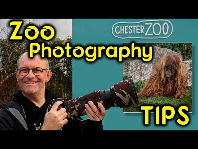 Tips for how to take better zoo photographs