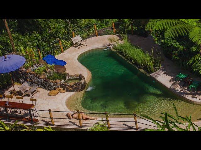 A Natural Swimming Pool, looks like a conventional pool but 100% chemical-free with living water!