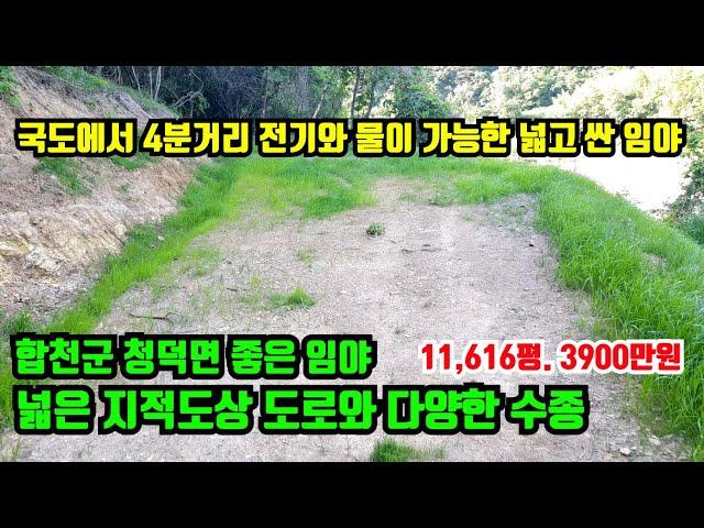 [합천군 청덕면] 싸고 좋은 임야.국도에서 3~4분거리이며 넓은 지적도상도로 접하고 전기와 물이 가능한 조건이며 평탄한 공간 확보된 임야.합천부동산.대구부동산.진주부동산.의령부동산