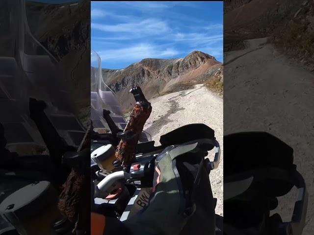 2Up and Overloaded on the Backcountry Discover Routes! Cinnamon Pass was a blast!
