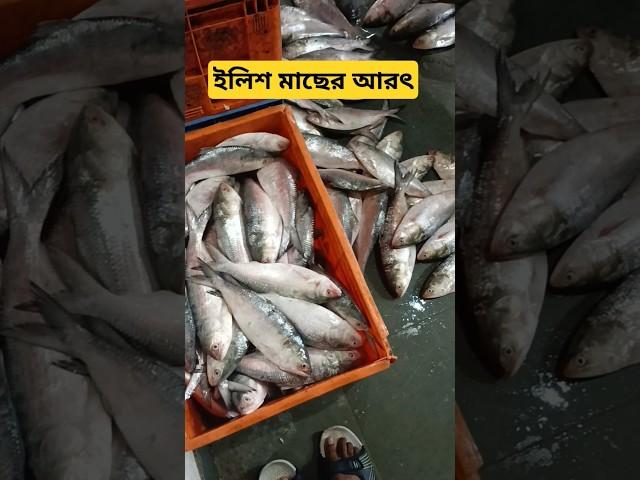 Hilsa packaging for export #fishingvideo #fishing #fish