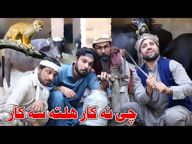 Che Na Kar Halta Su Kar Comedy Video By Gull Khan Vines