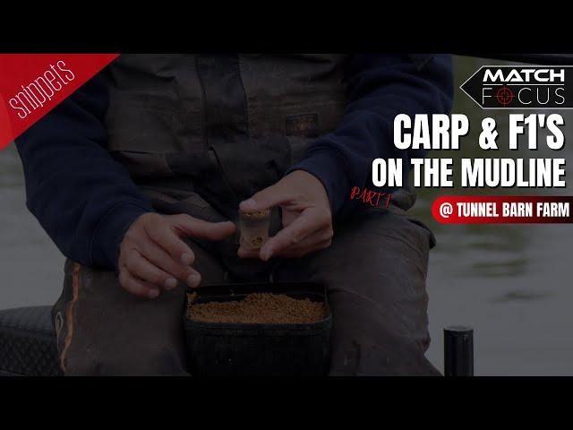 Carp & F1s On the Mudline at Tunnel Barn Farm pt1