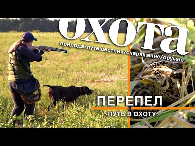 ПУТЬ В ОХОТУ. ПЕРЕПЕЛ.