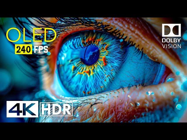 Mind Blowing OLED Dolby Vision - 4K HDR 240 fps