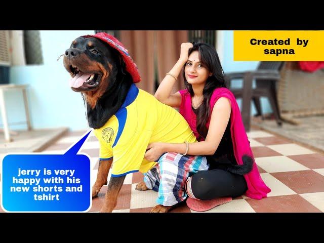 Sapna helps rottweiler to wear t-shirt and shorts.best guard dog breed