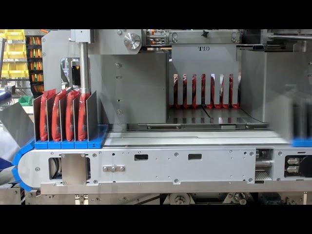 CPS Case Packing Systems - GCL