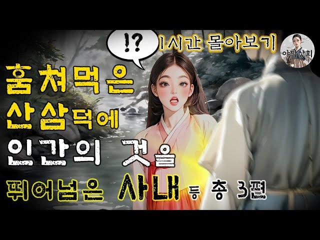 [야담상회 1시간 몰아보기] 훔쳐먹은 산삼 덕에 초월의 존재가 된 사내 외 총 3편 | 야담이야기, 옛날이야기, 설화, 전설