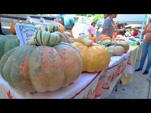 Louisiana Harvest: Winter Squash