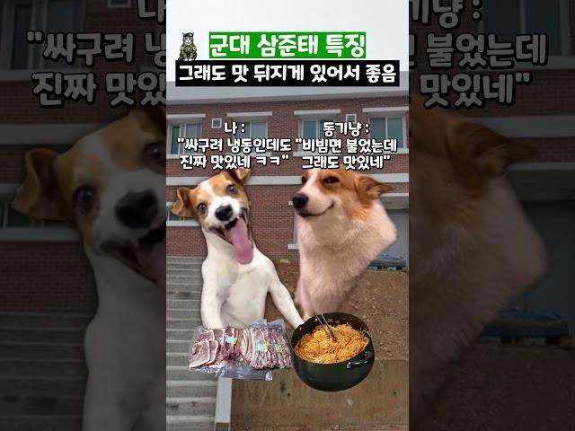 군대 삼준태 특징 #shorts #군대