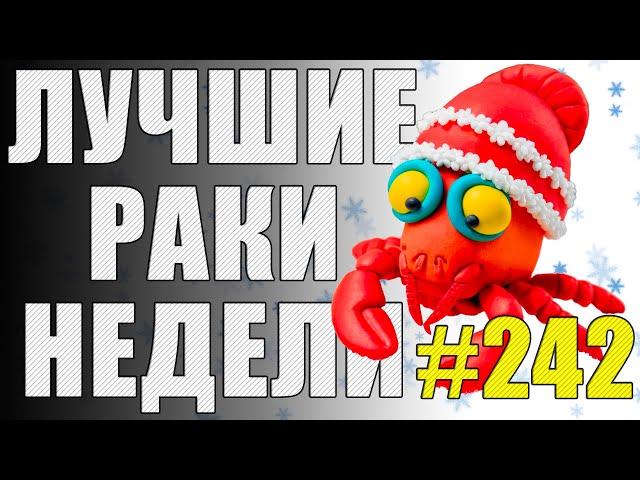 ЛРН выпуск №242  ПОГОЛУБЕВШИЙ АРТОХЕЙТЕР и ЛЕЧЕБНЫЙ ЧЕМОДАН [Лучшие Раки Недели]