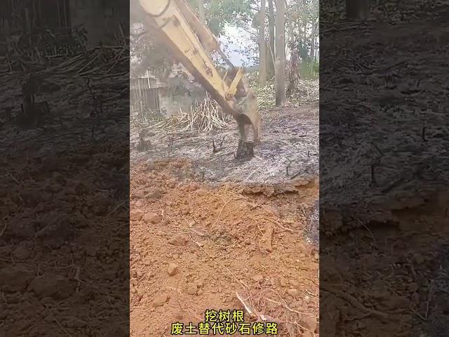 Tree root excavator, construction machinery, live shooting, time to show real technology, leave