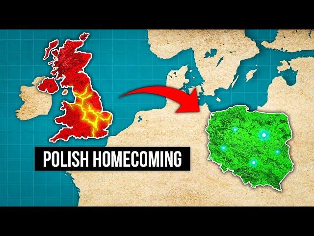 Why Polish Britons Are Leaving the UK: A Post-Brexit Exodus