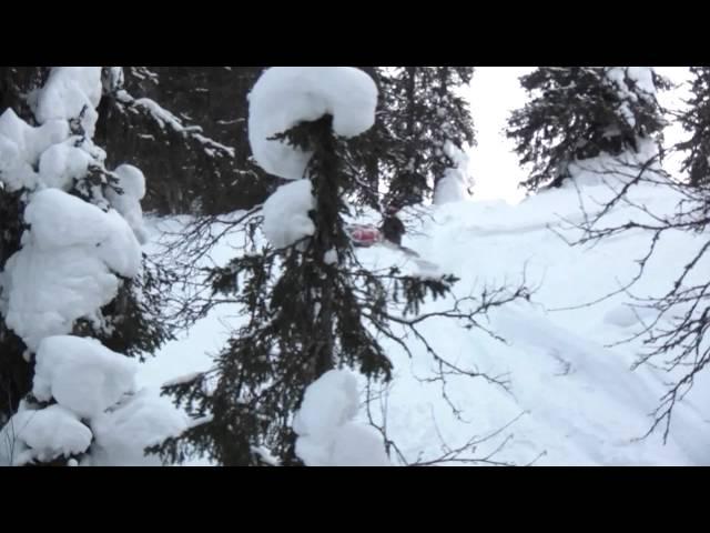 SledKillers на Кваркуше
