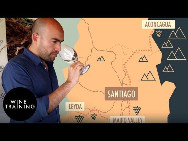 Chilean Wine - Leyda Valley | Wine Training School