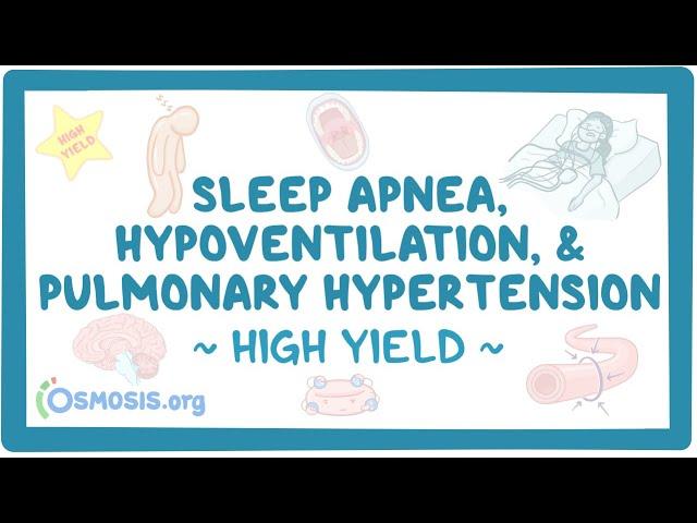 Apnea, hypoventilation, and pulmonary hypertension: Pathology review