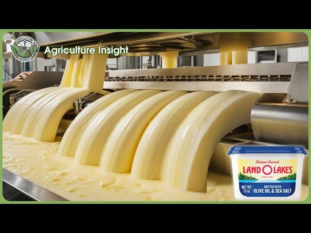 How Billion Tons of Butter Are Made - Massive Production Butter In Biggest Factory