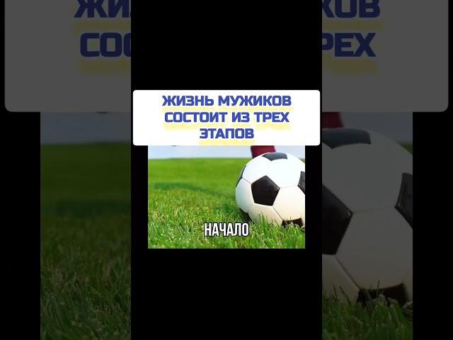 этапы развития мужчины #юмор#прикол#смех#развитие