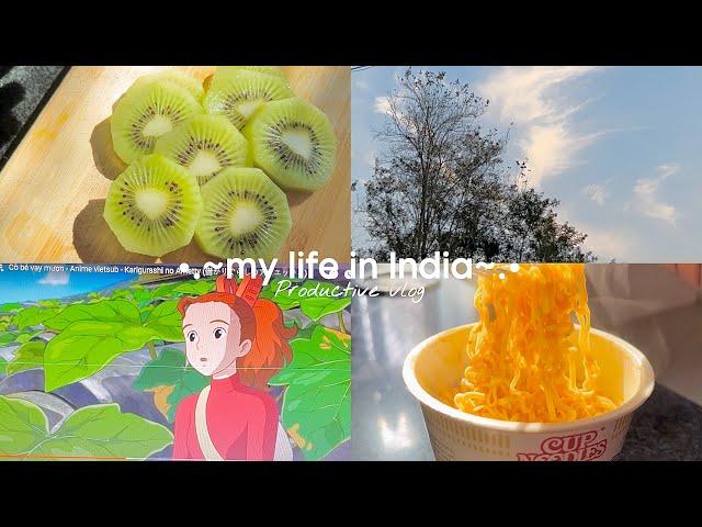 my life in India | productive weekend vlog | Aesthetic vlog Indian | living alone diaries