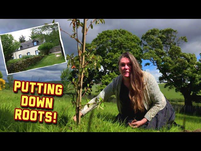 NEW Putting Down Roots at Our Highland Cottage  | Planting Trees, History & Heart in the Soil!