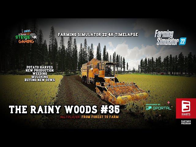 The Rainy Woods/#35/Potato Harvest/New Production/Weeding/Mulching/Buying New Cows/FS22 4K Timelapse