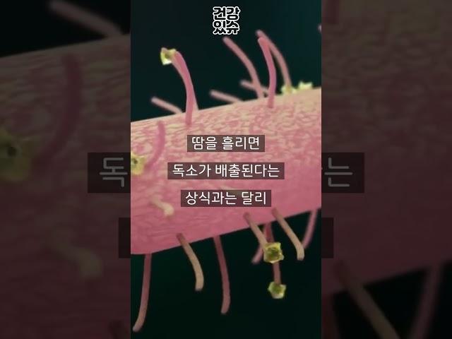해독, 디톡스는 허구다