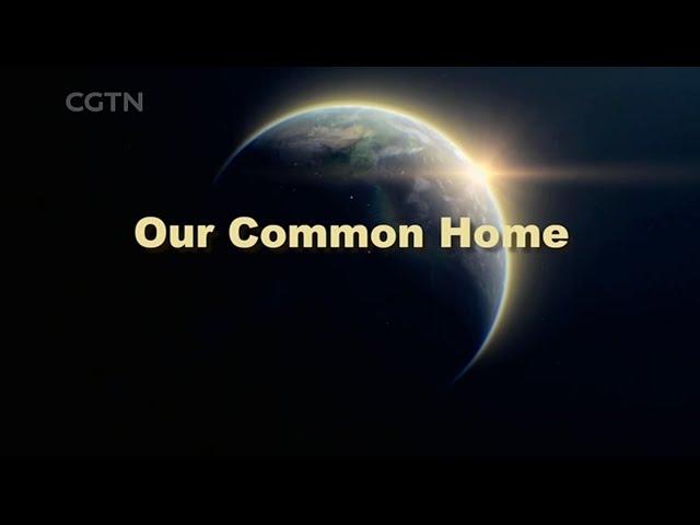 Our Common Homeland Ep  1: Why preserve biodiversity?