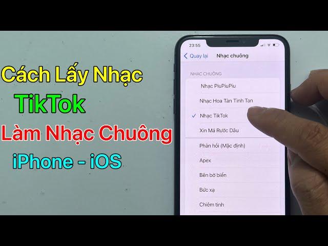 Cách lấy nhạc TikTok làm nhạc chuông iPhone - iOS / Mới Nhất