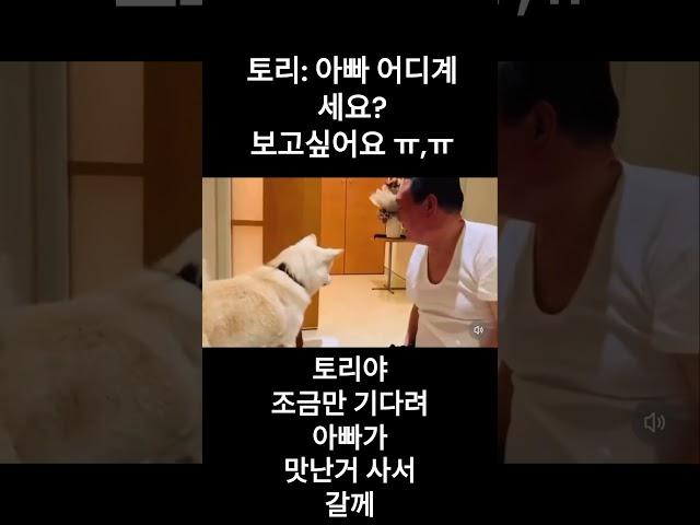 토리:아빠보고싶어요ㅠㅜ