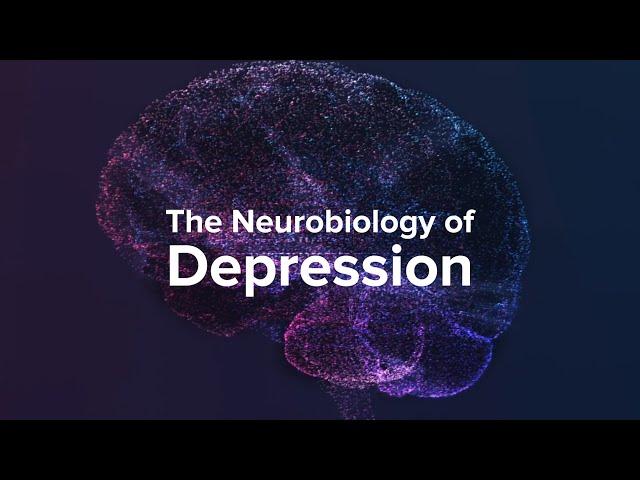 How Depression Affects The Brain - Yale Medicine Explains