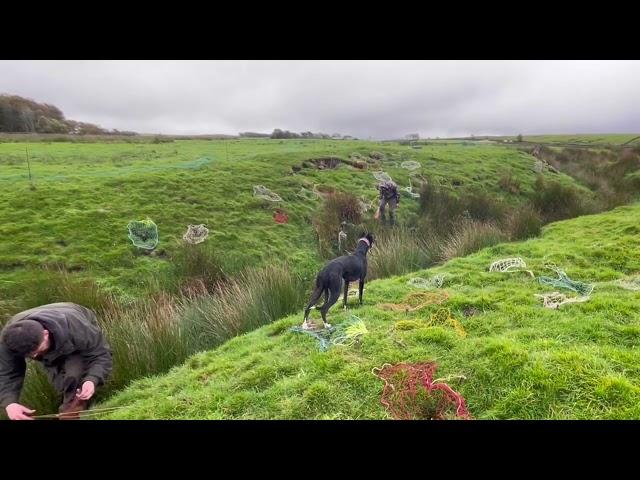 Ferreting ditches