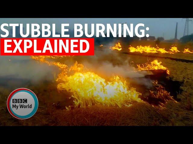 India's air pollution: The role of stubble burning