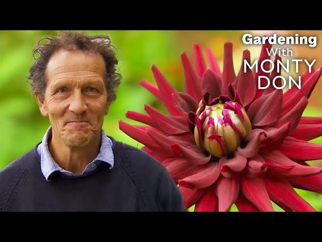 Most Creative Garden MAKEOVERS | FULL EPISODE | S11 E2 | Gardeners' World | Gardening With Monty Don