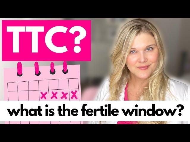 OVULATION: Understanding Your Fertile Window and Cycle Tracking