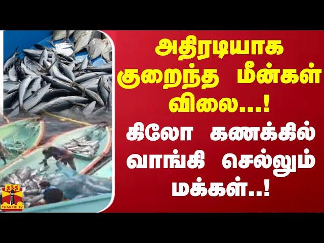 அதிரடியாக குறைந்த மீன்கள் விலை...! கிலோ கணக்கில் வாங்கி செல்லும் மக்கள்..! | Cuddalore