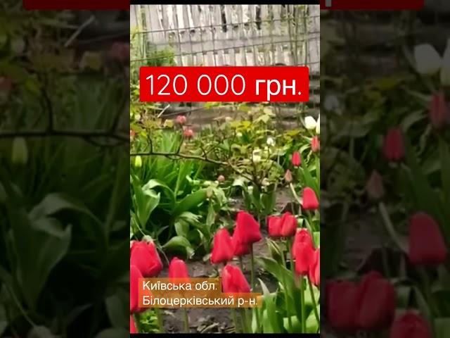 #київська_область #продам #будинок #село