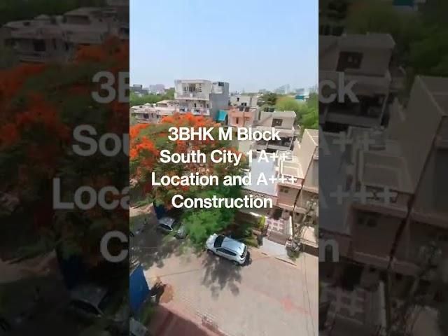 3BHK Builder Floor in Prime Location South City 1 Gurgaon