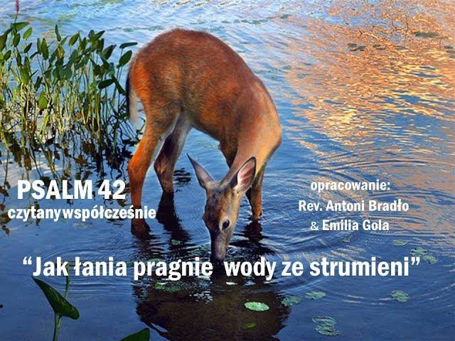 Psalm 42 Jak Lania pragnie wody