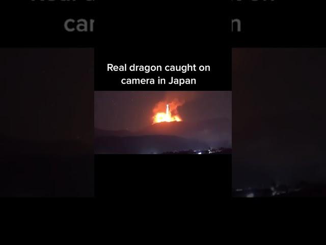 Real dragon caught on camera in Japan Part_1 #shorts #dragon #japan #fire