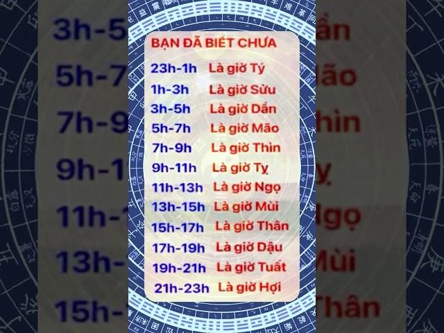 Lá Số Tử Vi Trọn Đời – Hé Lộ Vận Mệnh Giàu Nghèo Ai Cũng Nên Biết | MANH HÀ PHONG THỦY #tuvitrondoi
