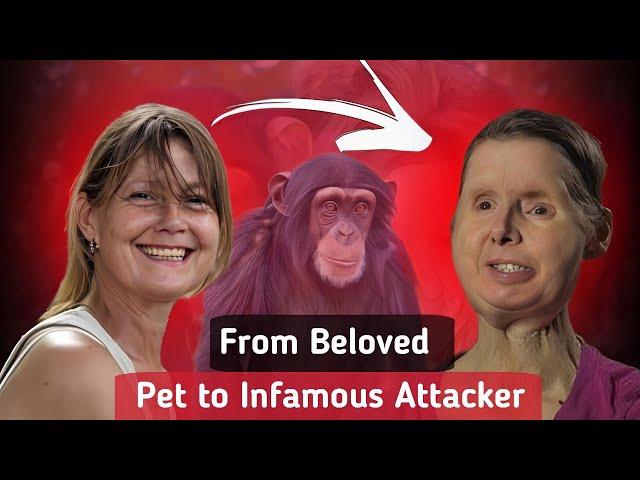 Chimpanzee Attack | The Story of Travis The Chimp and Charla Nash