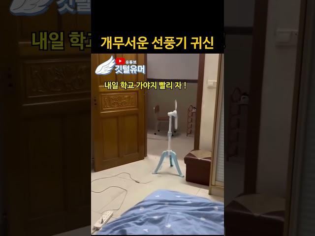 선풍귀 괴담의 진실....