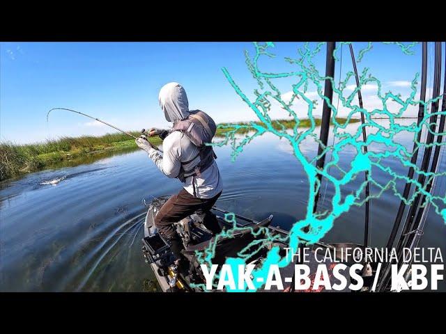 YAB #5 / KBF TRAIL SERIES I - The California Delta (Day 1)