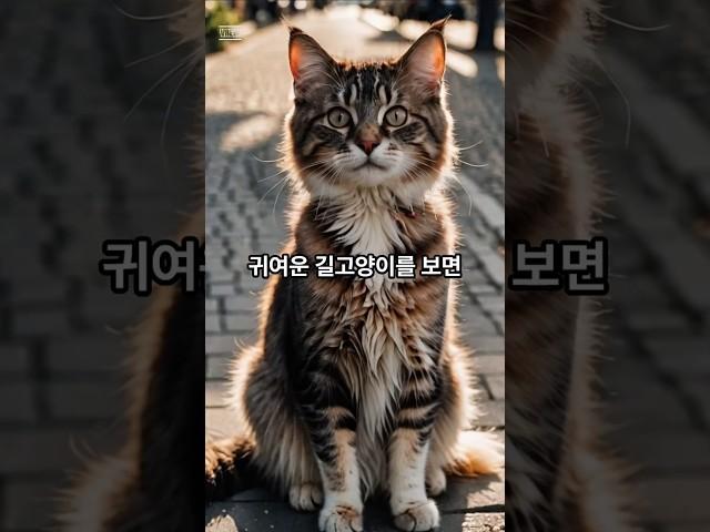 길고양이를 잘못 만지면 죽을 수도 있다? #과학 #지식 #잡지식  #호기심 #엉뚱 #엉뚱한과학
