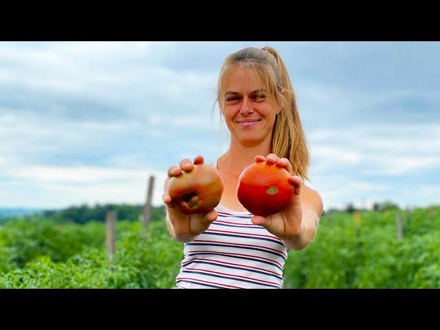 Meet the Master Organic Veggie Farmer | Good Work