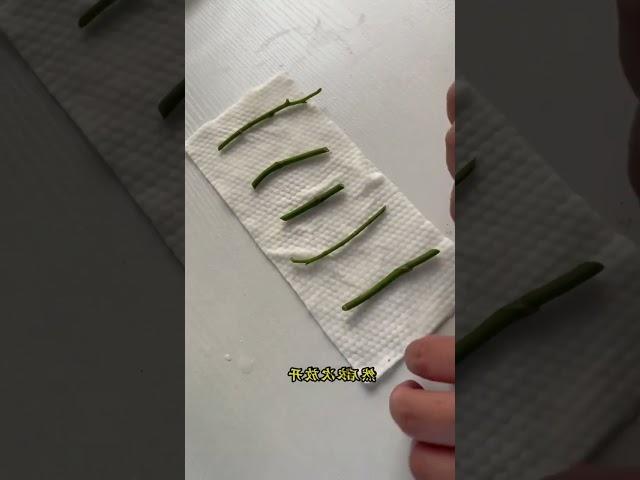 cutting orchid stem to regrowth