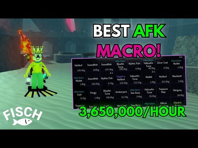 *NEW* BEST AUTO AFK FISCH MACRO ROBLOX! How To MACRO in FISCH!