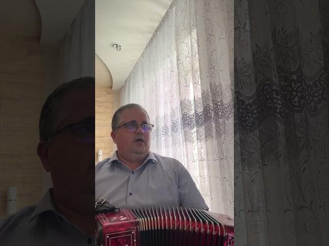 За лесом солнце воссияло #казачьипесни #дмитрийразборы